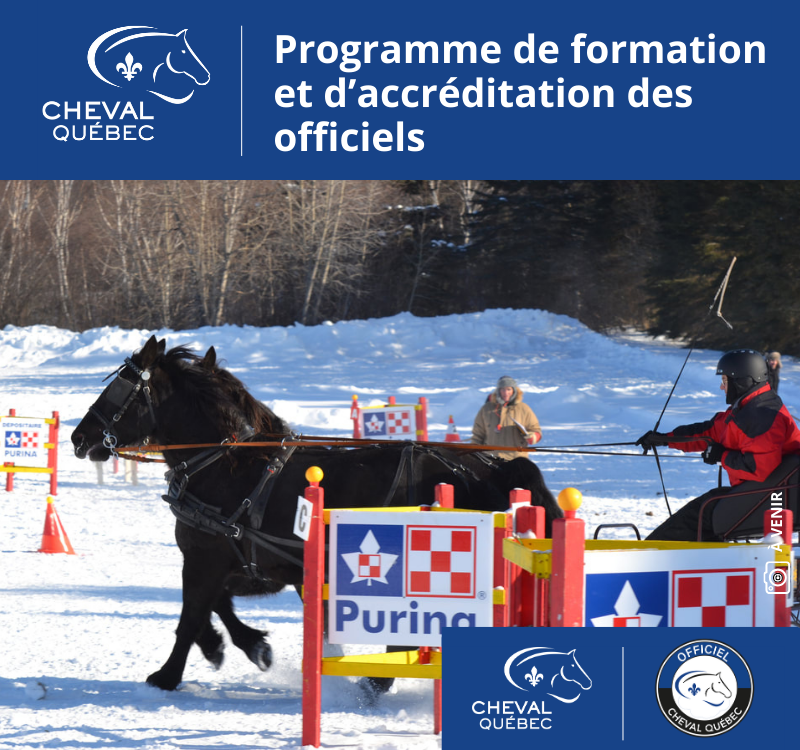 Accréditation de juge en derby  d’attelage